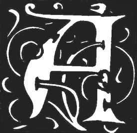 Фантастичні звірі і де їх шукати - i_011.jpg