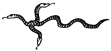 Фантастичні звірі і де їх шукати - i_047.png