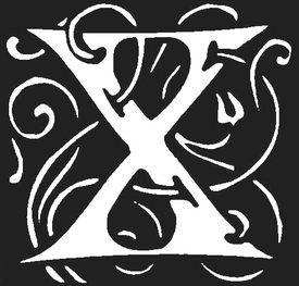 Фантастичні звірі і де їх шукати - i_054.jpg