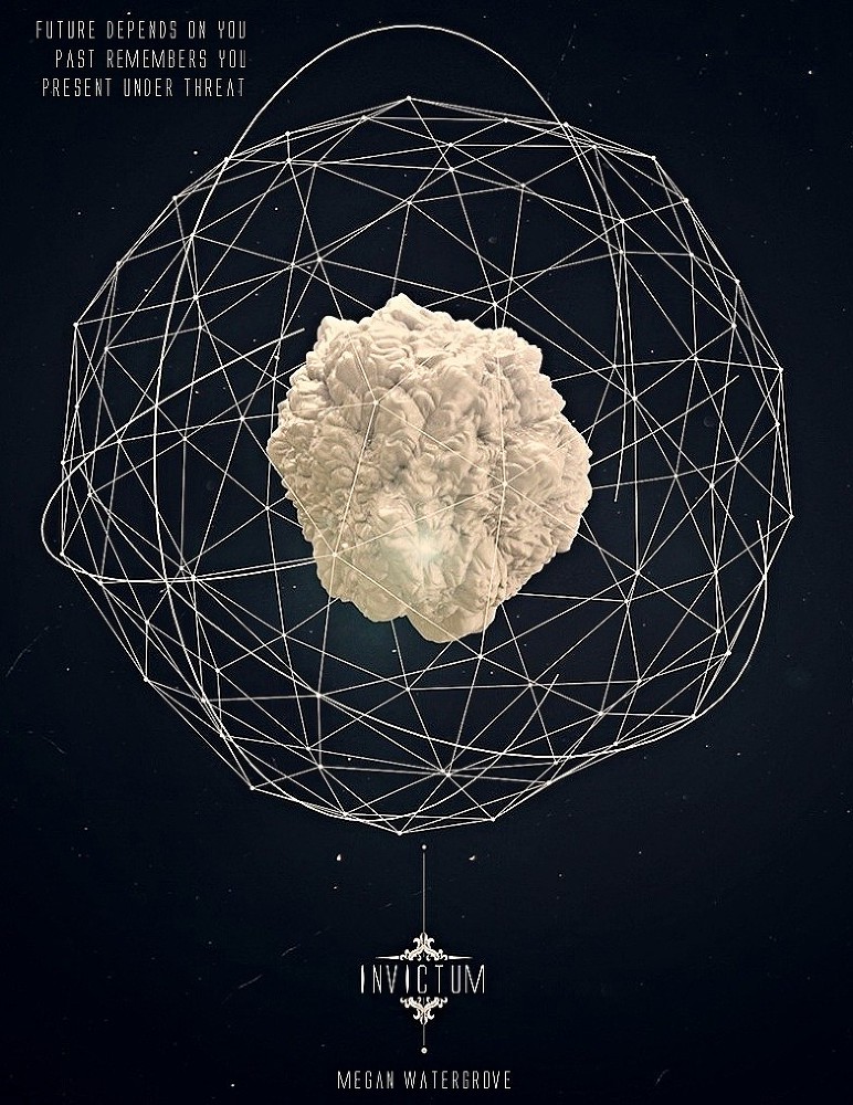 Инвиктум (СИ) - _0.jpg