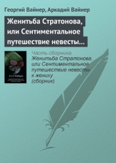 Женитьба Стратонова, или Сентиментальное путешествие невесты к жениху - автор Вайнер Георгий Александрович 