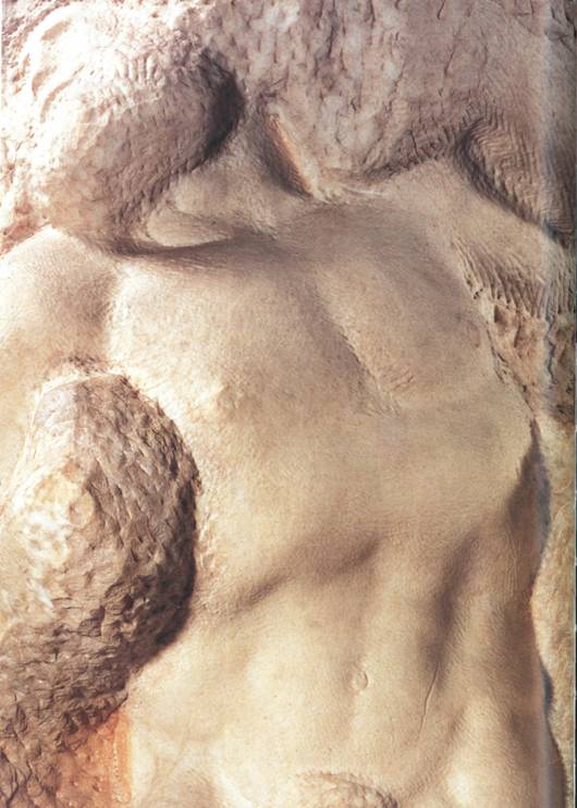 История красоты - pic_133.jpg