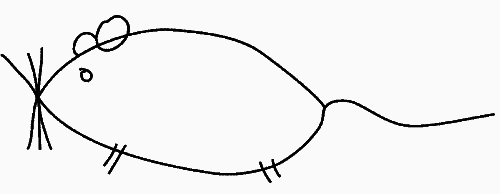 Сказать почти то же самое. Опыты о переводе - _06.png