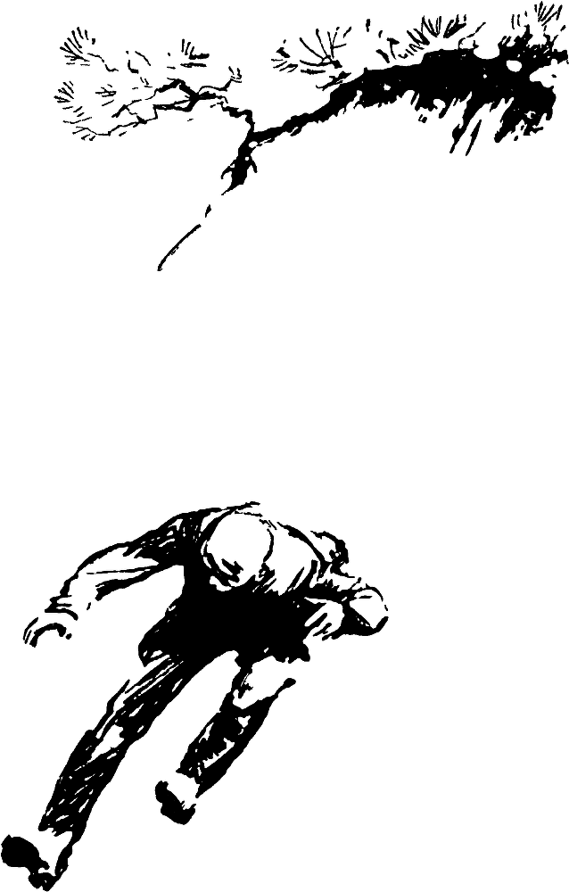 Тринадцатый рейс - img_2.png