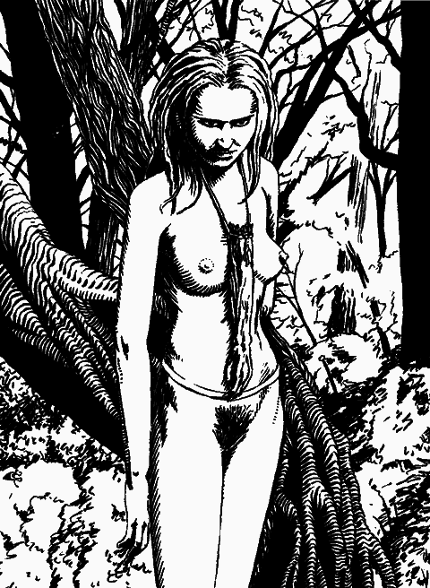 Леса здесь темные - i_005.png