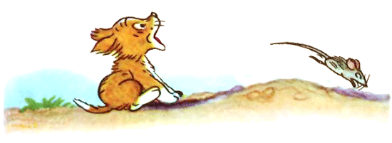 Кто сказал «Мяу»? (рис. Сутеева, изд.1) - i_015.png