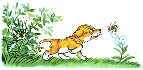 Кто сказал «Мяу»? (рис. Сутеева, изд.1) - i_021.png