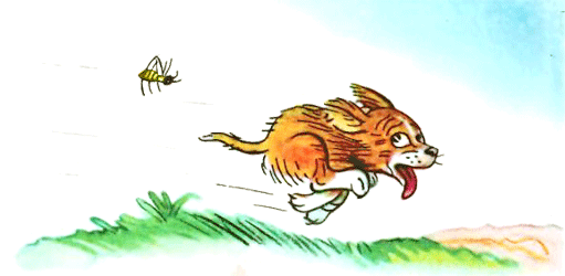 Кто сказал «Мяу»? (рис. Сутеева, изд.1) - i_022.png