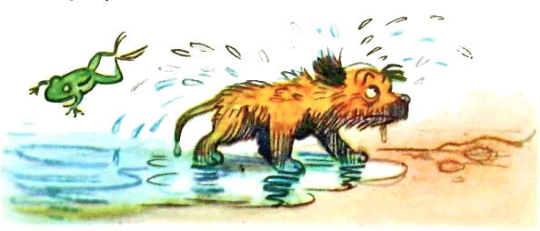 Кто сказал «Мяу»? (рис. Сутеева, изд.1) - i_027.png