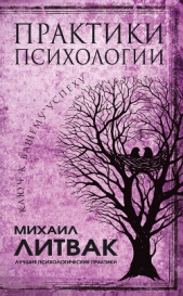 Практики психологии. Ключ к вашему успеху - автор Литвак Михаил Ефимович 