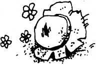 Дом вверх дном - i_044.jpg