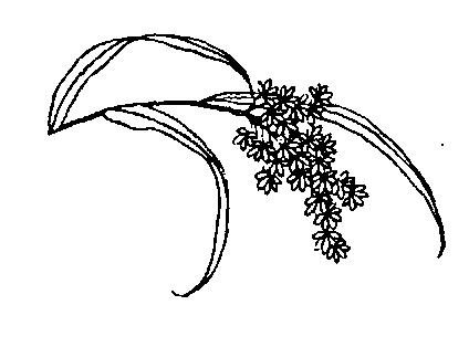 Сексуальная жизнь в древнем Китае - i_005.png