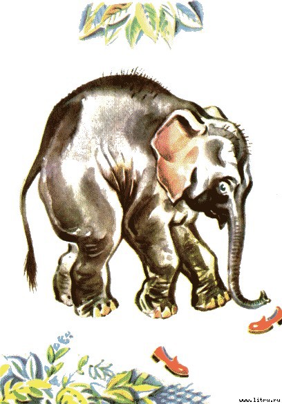 Детки в клетке - i_002.jpg