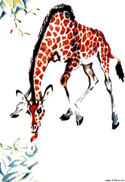 Детки в клетке - i_003.jpg