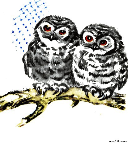 Детки в клетке - i_005.jpg