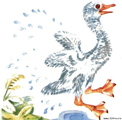 Детки в клетке - i_006.jpg