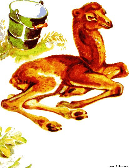 Детки в клетке - i_007.jpg