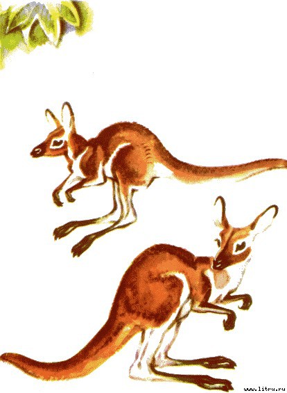 Детки в клетке - i_008.jpg