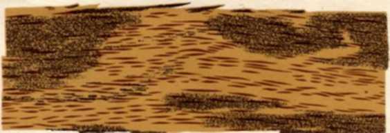 Как рубанок сделал рубанок (иллюстрации В. Лебедева) - img_12.jpeg