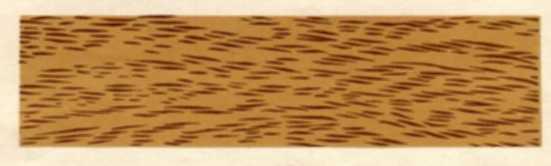 Как рубанок сделал рубанок (иллюстрации В. Лебедева) - img_13.jpeg