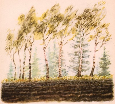 О чем говорили лошади, хомяки и куры - i_005.jpg