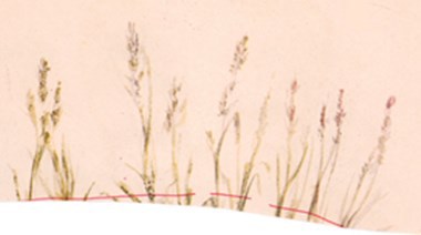 О чем говорили лошади, хомяки и куры - i_008.jpg