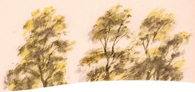 О чем говорили лошади, хомяки и куры - i_009.jpg