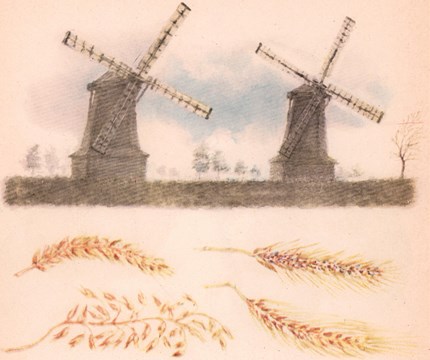 О чем говорили лошади, хомяки и куры - i_011.jpg