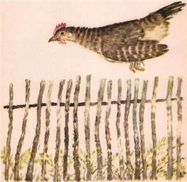 О чем говорили лошади, хомяки и куры - i_013.jpg