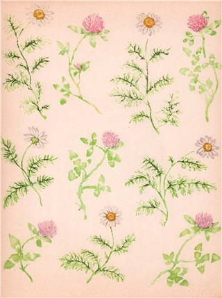 О чем говорили лошади, хомяки и куры - i_014.jpg