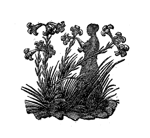 Собрание сочинений в четырех томах. Том второй. Лирика, повести в стихах, сатира, пьесы - Marsh4_2_3.png