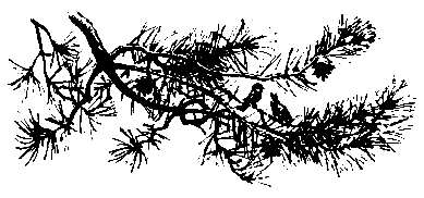 Три сказки - pic_14.png