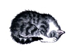 Усатый полосатый - i_005.jpg