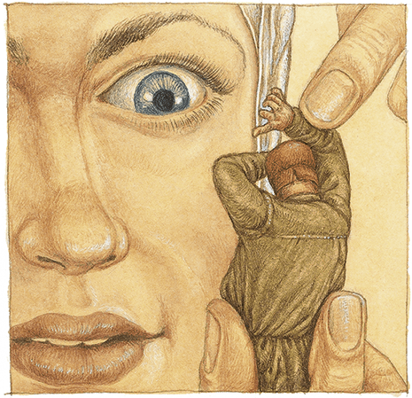 Сказки Черного леса (сборник) - i_005.png