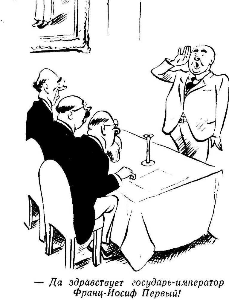 Вторжение Швейка в мировую войну - i_005.jpg