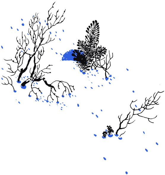 По волчьему следу - i_004.png