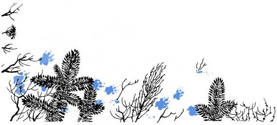 По волчьему следу - i_016.png