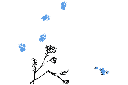 По волчьему следу - i_026.png