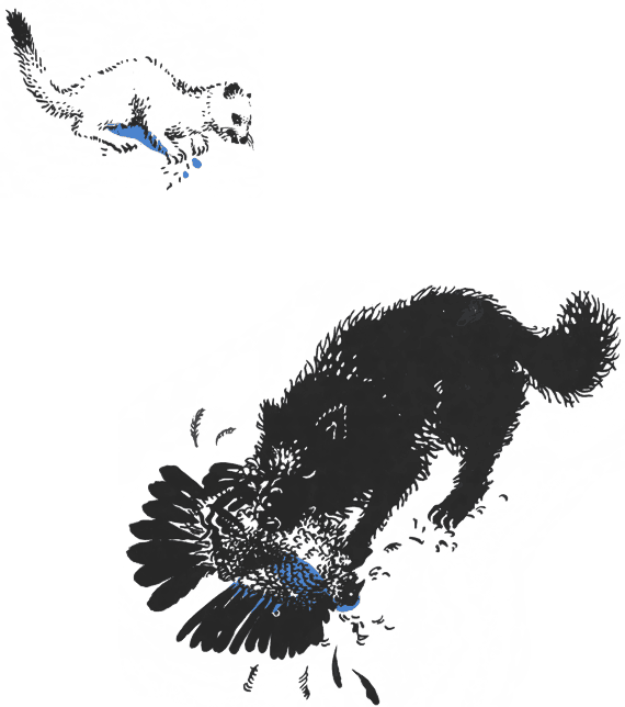 По волчьему следу - i_030.png