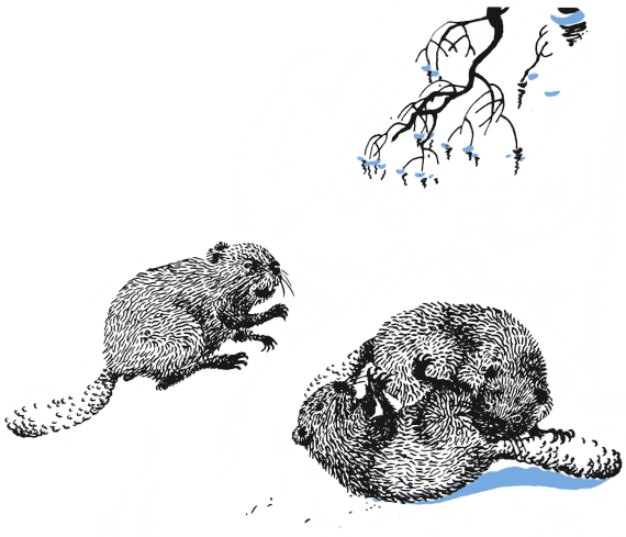 По волчьему следу - i_032.png