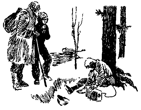 Золото (илл. В. Трубковича) - pic_4.png