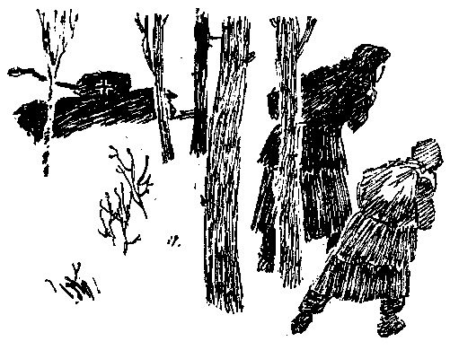 Золото (илл. В. Трубковича) - pic_8.png