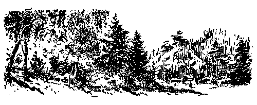 Золото (илл. Р. Гершаника) - pic_13.png