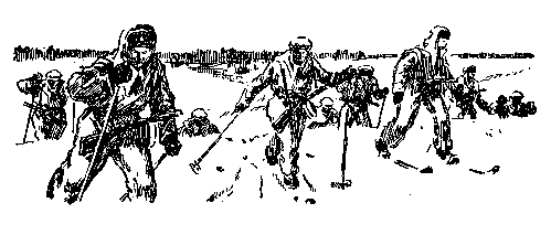 Золото (илл. Р. Гершаника) - pic_29.png