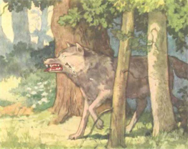 Волшебные сказки<br />(Илл. В. Дехтерев) - i_006.jpg