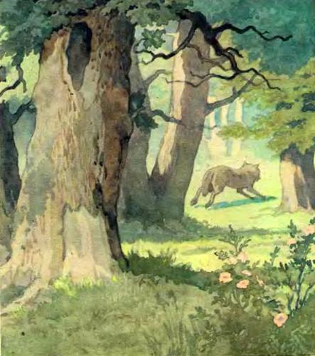 Красная Шапочка - img07.jpg