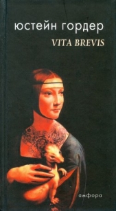 VITA BREVIS. Письмо Флории Эмилии Аврелию Августину - автор Гордер Юстейн 