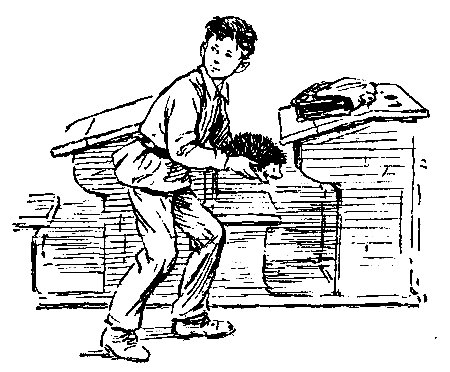 Необычайные похождения Севы Котлова. Повести - pic_9.png