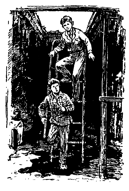 Необычайные похождения Севы Котлова. Повести - pic_26.png