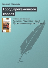 Город прокаженного короля - автор Сальгари Эмилио 